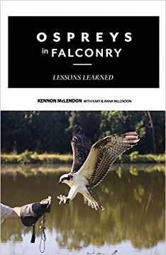Ospreys in Falconry: Lessons Learned by Kennon McLendon